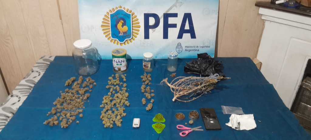 Indagaron al joven detenido con marihuana y hongos alucinógenos valuados en más de 3 millones de pesos
