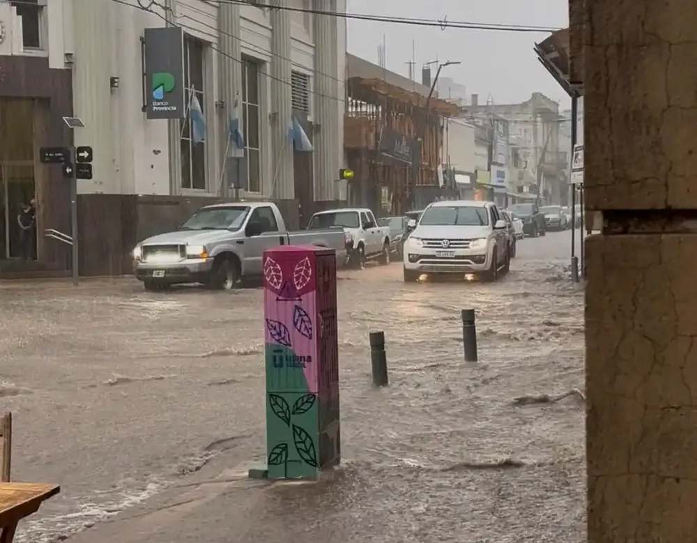 Tormenta en la provincia de Buenos Aires: anegamientos, destrozos y suspensión de clases en varios distritos