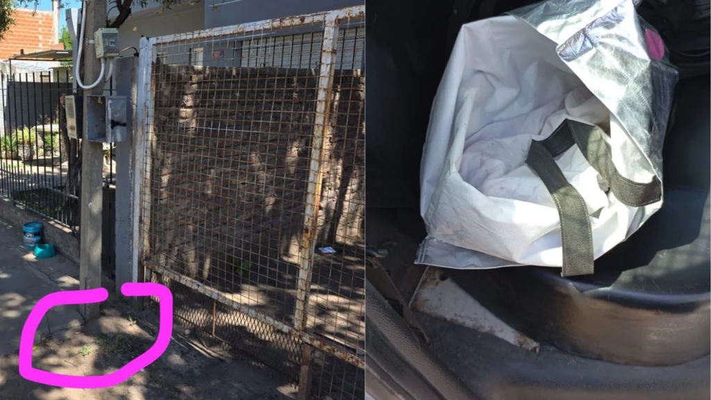 Un recién nacido fue encontrado en una bolsa, en la vía pública en Merlo: la madre está detenida