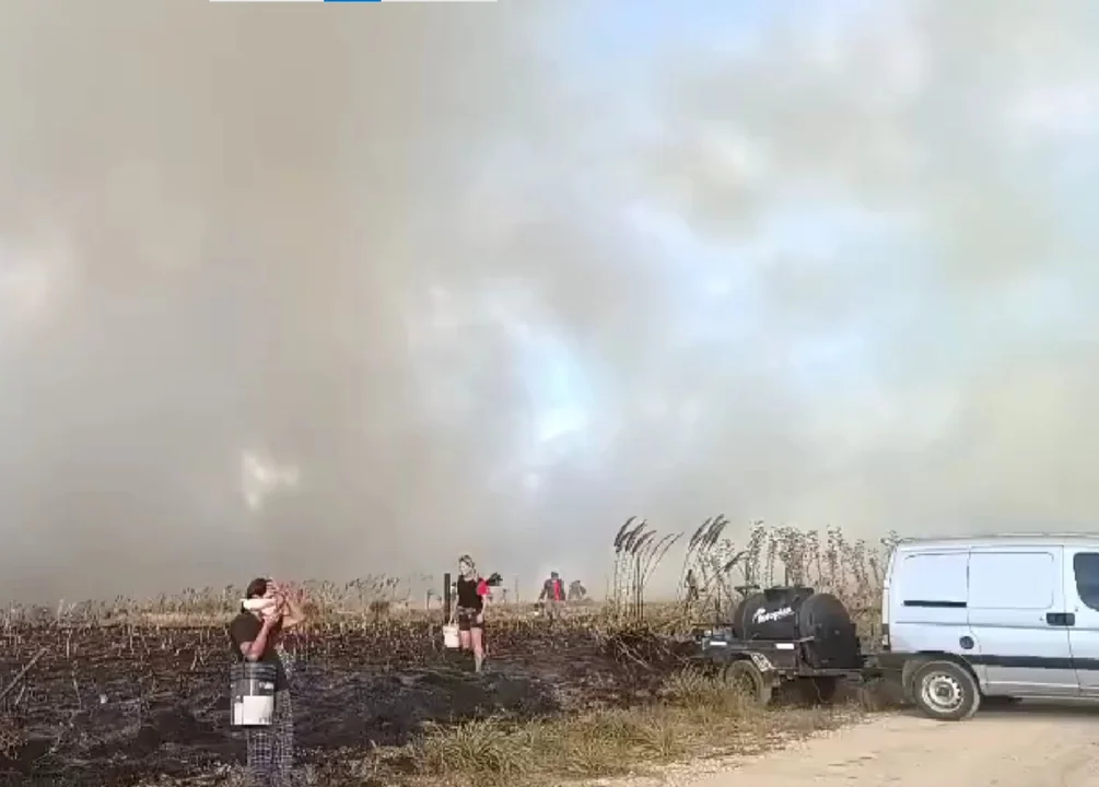 Incendios forestales en Mar del Plata: más de 200 hectáreas arrasadas