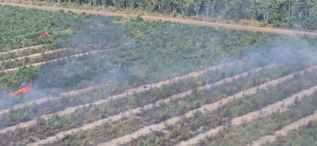 Ramallo: investigan si fue intencional el incendio en un campo de Costa Pobre