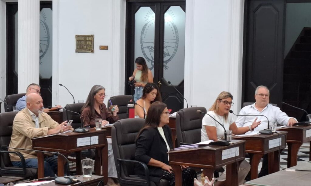 Concejales de FP piden a la Anses que blanquee los números de la pérdida local de empleos en la era libertaria