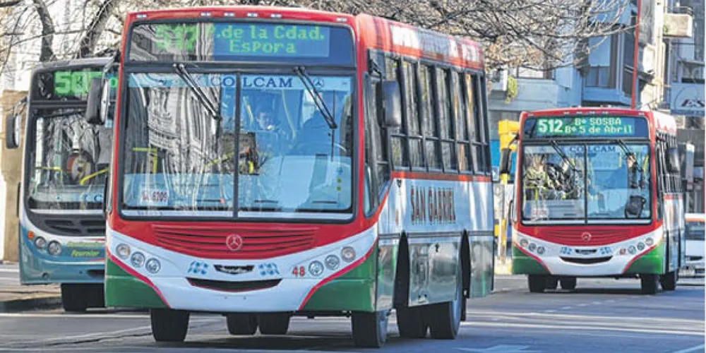 Bahía Blanca reduce el servicio de colectivos: funcionarán hasta las 20.30 y sin recorridos nocturnos