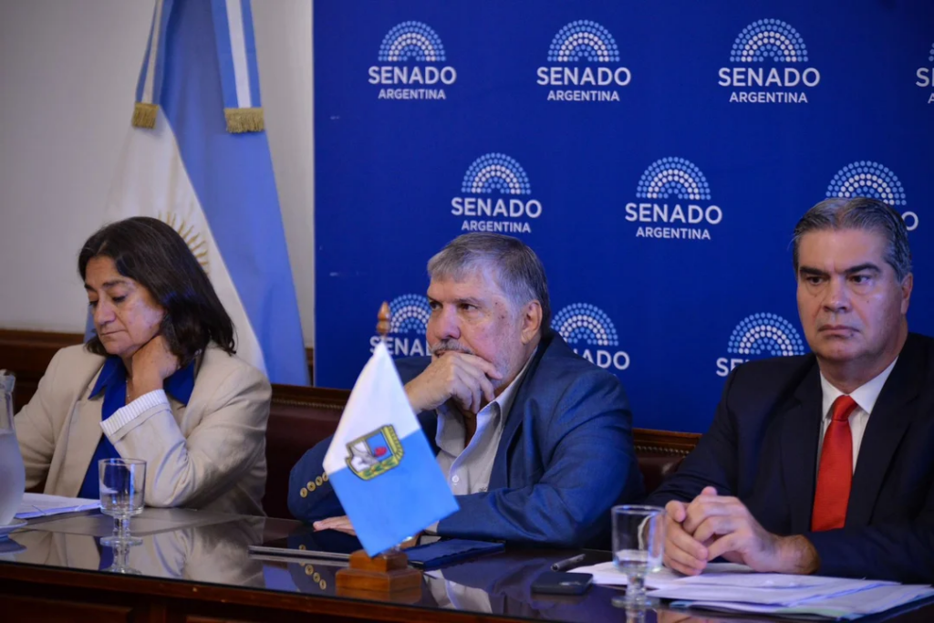 Senado: con críticas a Milei, el bloque del PJ presentó un proyecto para bajar las tarifas de luz en el Norte Grande
