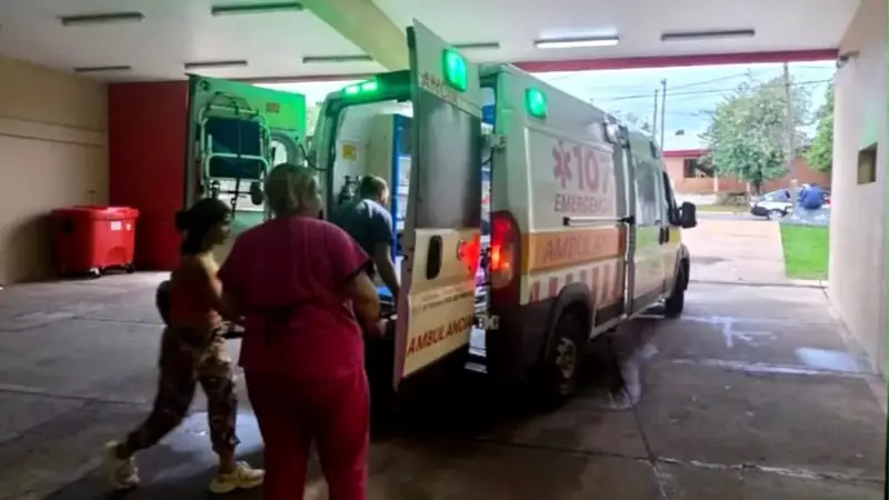 Horror en Misiones: un nene de 7 años fue atacado por siete perros en su casa