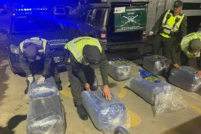 Imputan a once gendarmes por vender hojas de coca incautadas en el peaje de General Lagos
