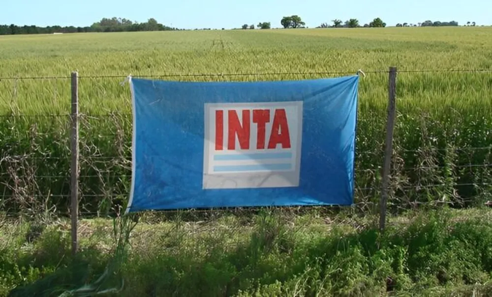 El INTA avanza con su plan de ajuste y cerrará 14 agencias de extensión rural en Buenos Aires y Córdoba