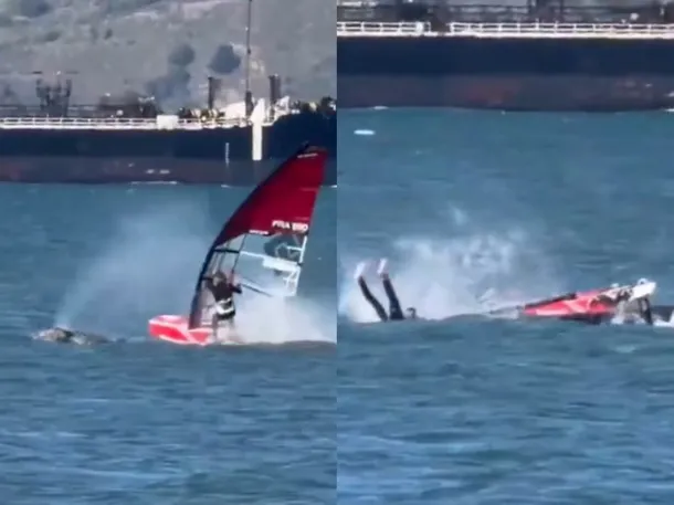 windsurfista ballena
