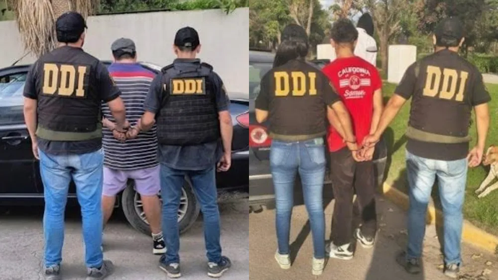 Detuvieron a dos hombres por un violento asalto a una mujer de 91 años en Otamendi