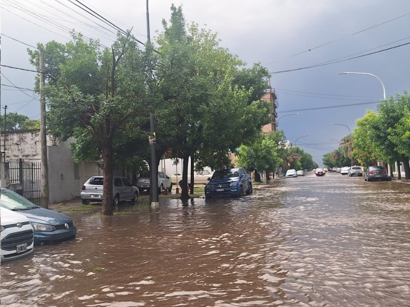 vecinos