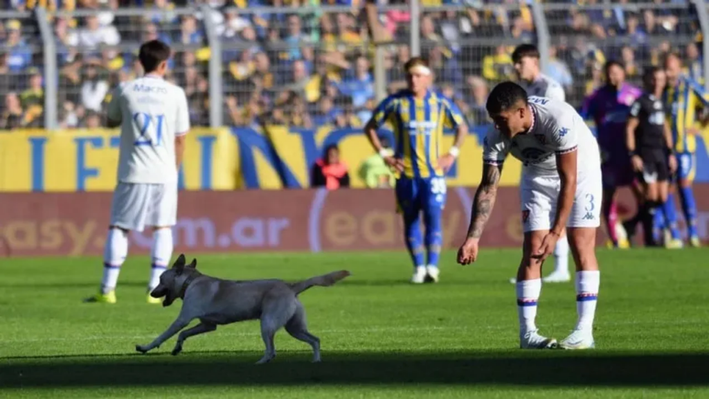 perro Rosario Central