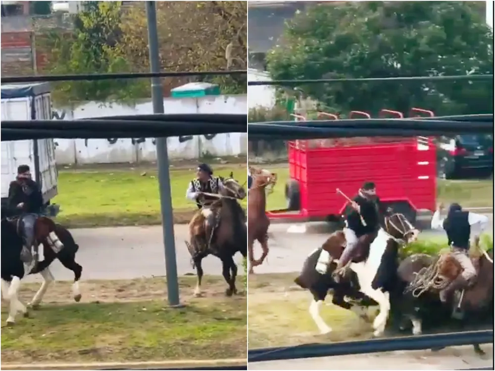 Insólito: dos jinetes se pelearon a rebencazos durante un desfile patrio en Berazategui