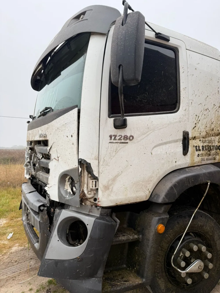 General Madariaga: camión embistió y mató a cinco caballos que estaban sueltos en la Ruta 74