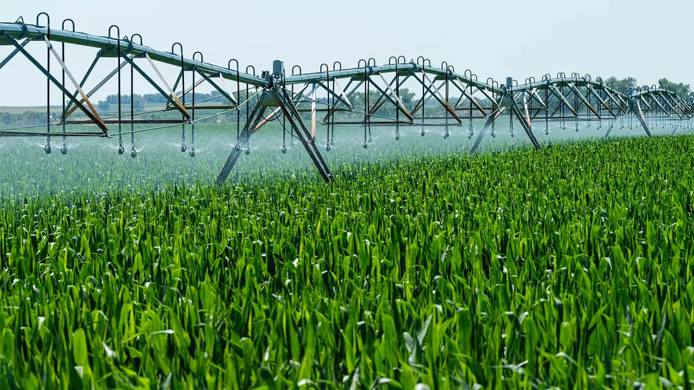 La Provincia prorrogó otra vez la suspensión de la resolución sobre agroquímicos