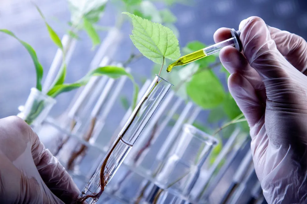 Impulsan un proyecto para crear un polo biotech en el interior de la Provincia de Buenos Aires