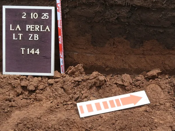 La Perla