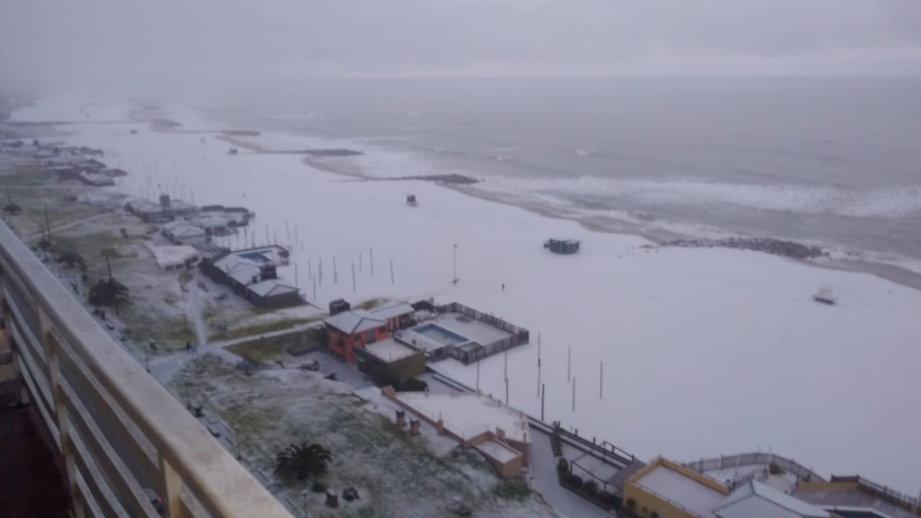ola polar