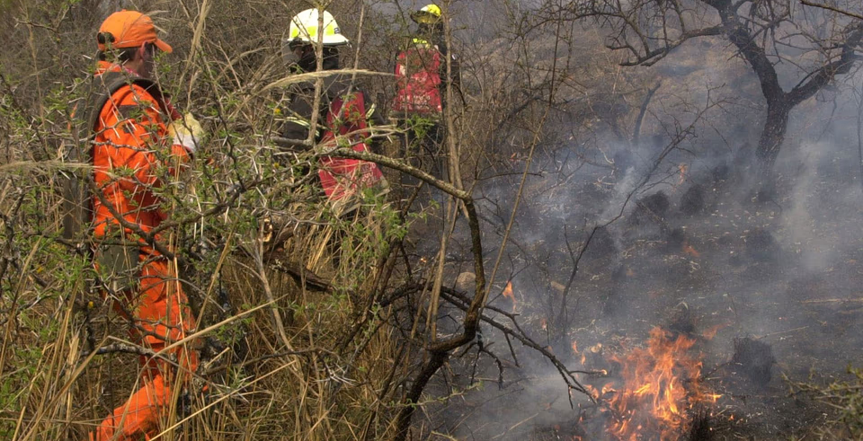 Incendios en Cafayate: la fiscal remarcó que su objetivo “es encontrar a los responsables”