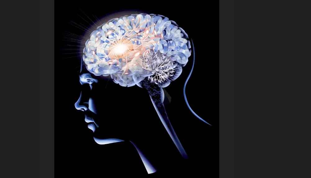 Día Mundial del Cerebro: destacan que el 80% de los ACV puede prevenirse con hábitos saludables