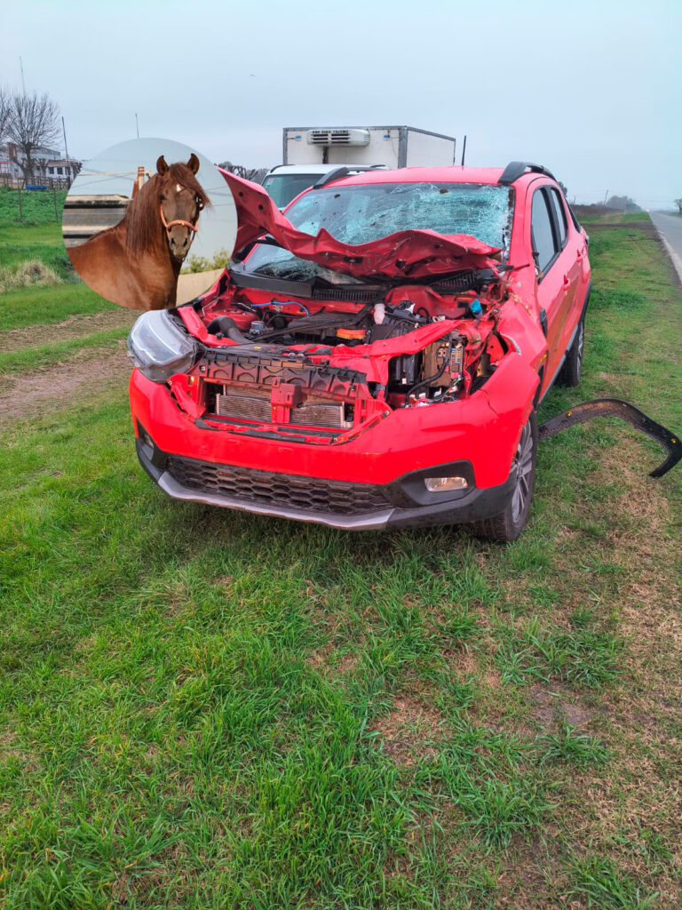 camioneta caballo