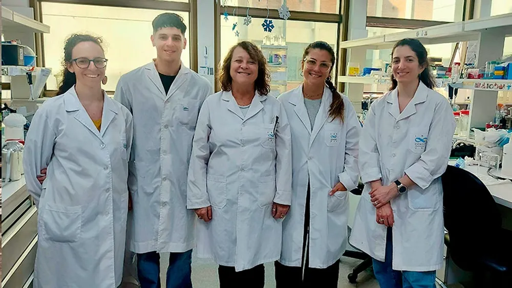 Científicos del CONICET avanzan con un test rápido y económico para detectar dengue