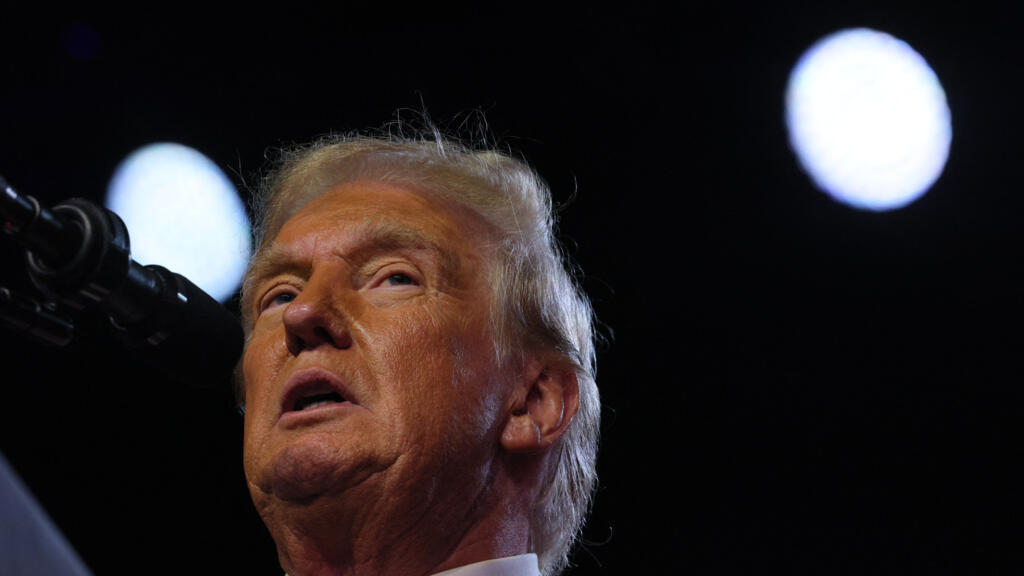 trump noviembre