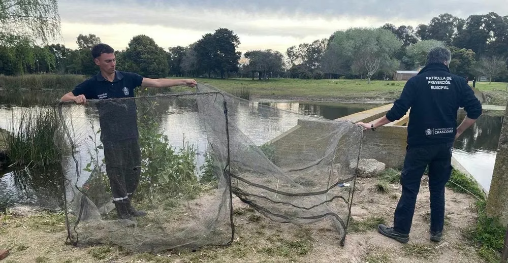 Operativo contra la pesca furtiva: secuestraron redes para la captura masiva de peces en Chascomús