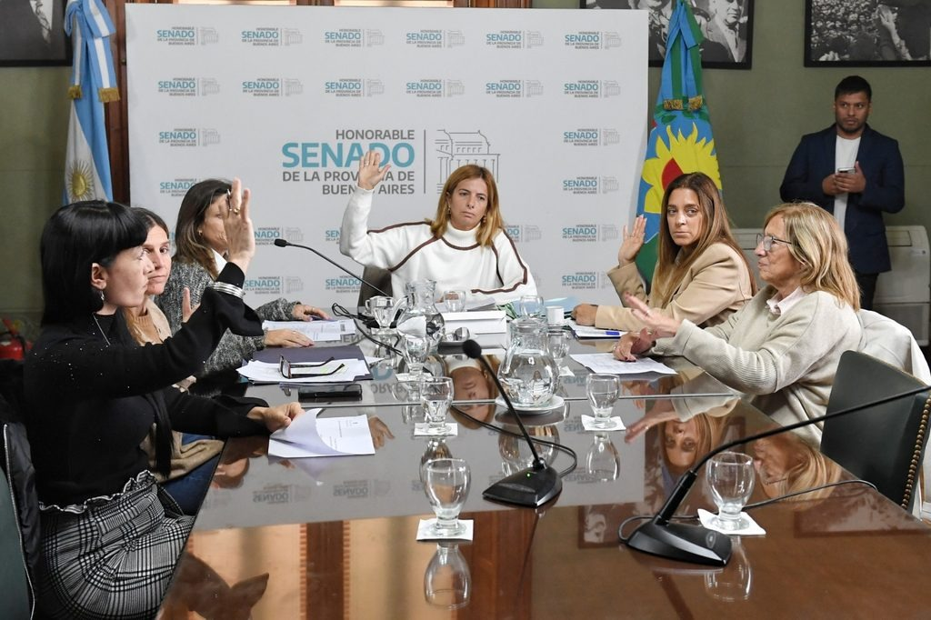 compactación motos escape libre senado bonaerense