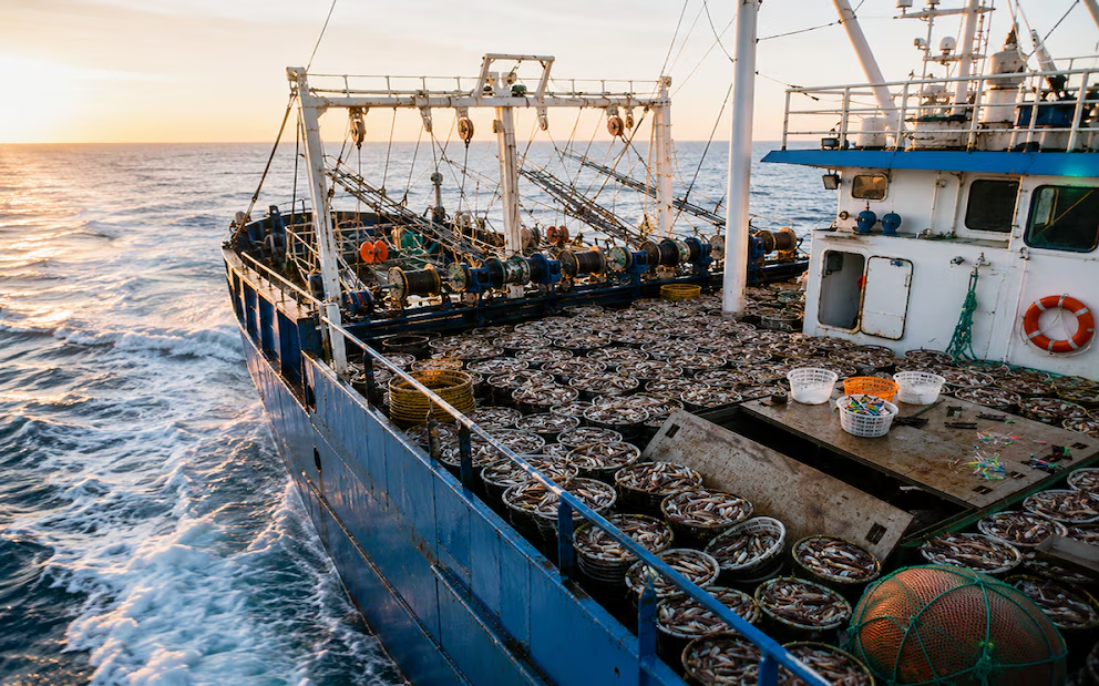 exportaciones pesqueras