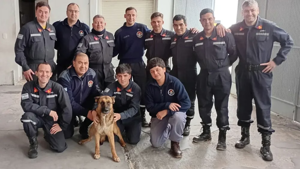 Tres Arroyos: bomberos rescataron a una perra que cayó a un pozo de cinco metros