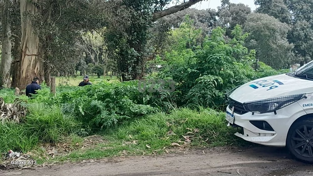 Horror en Mar del Plata: un grupo de chicos encontró un cuerpo desmembrado en un baldío